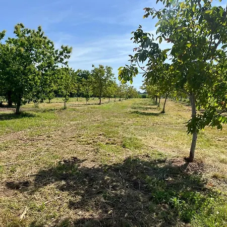 公寓式酒店 Wally