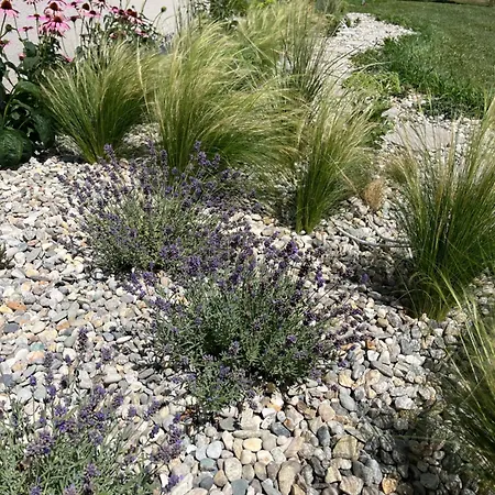 公寓式酒店 Wally 4*