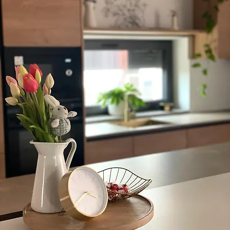 公寓式酒店 Wally