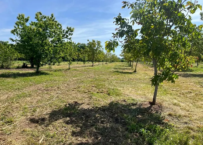 מלון דירות Wally