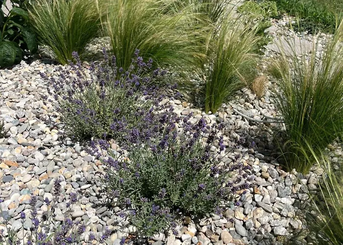 מלון דירות Wally 4*